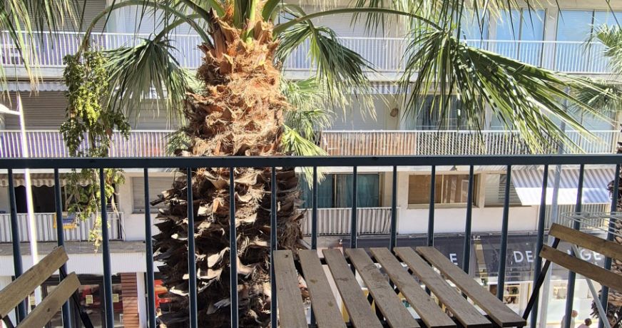 location Appartement Antibes