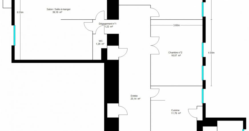 vente Appartement Nice