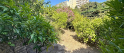 vente Maison Nice