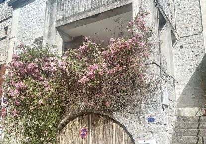 vente Maison de caractère Ruoms