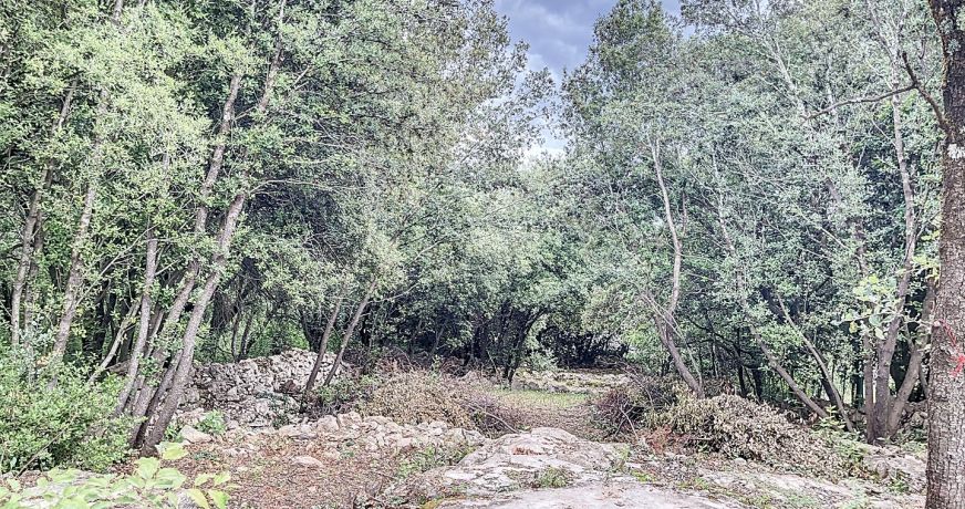 vente Terrain constructible Labeaume