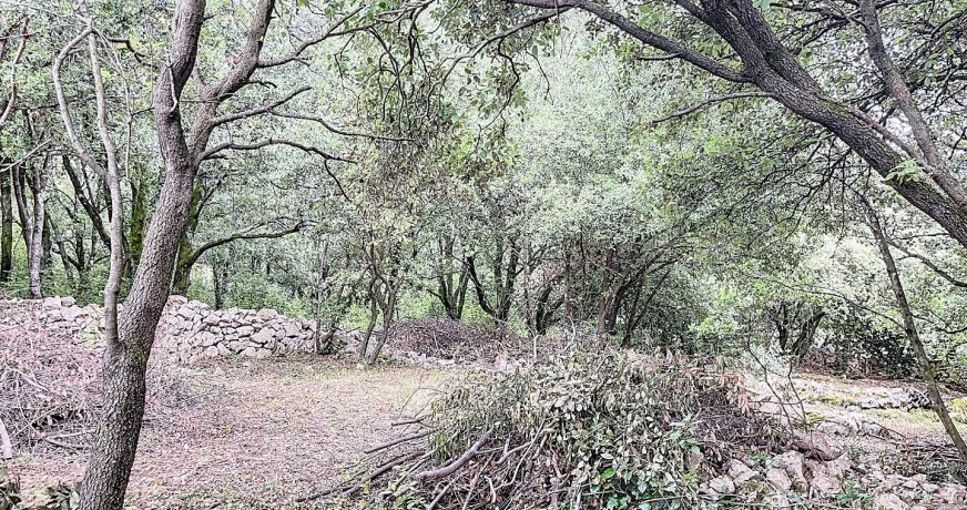 vente Terrain constructible Labeaume