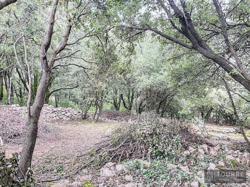 vente Terrain constructible Labeaume