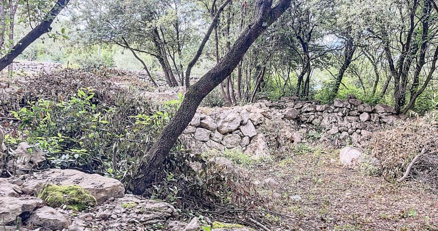 vente Terrain constructible Labeaume