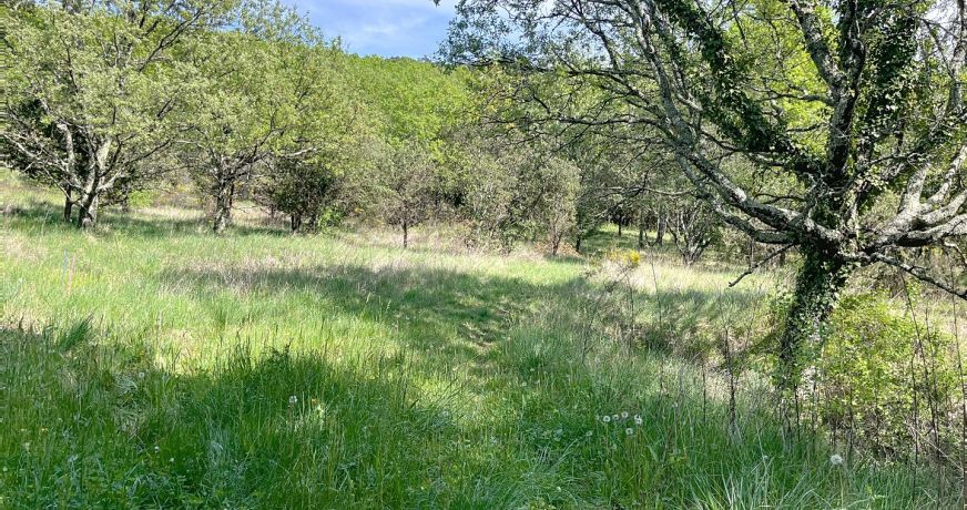 vente Terrain constructible Lagorce