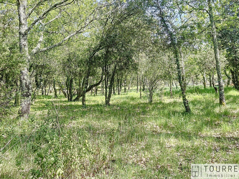 vente Terrain constructible Lagorce - Photo 4