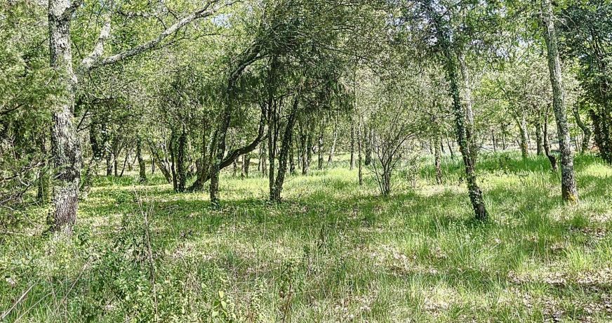 vente Terrain constructible Lagorce