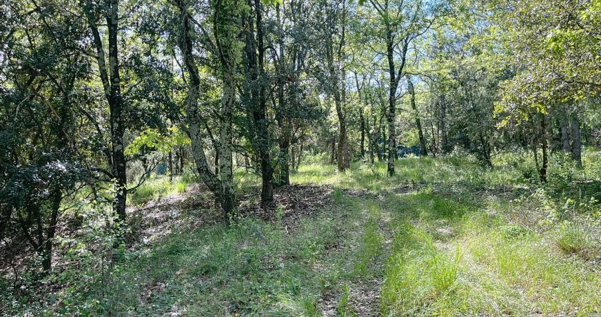 vente Terrain constructible Lagorce