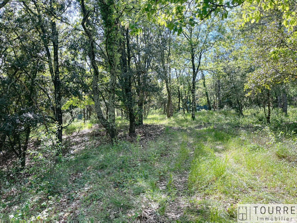 vente Terrain constructible Lagorce - Photo 3