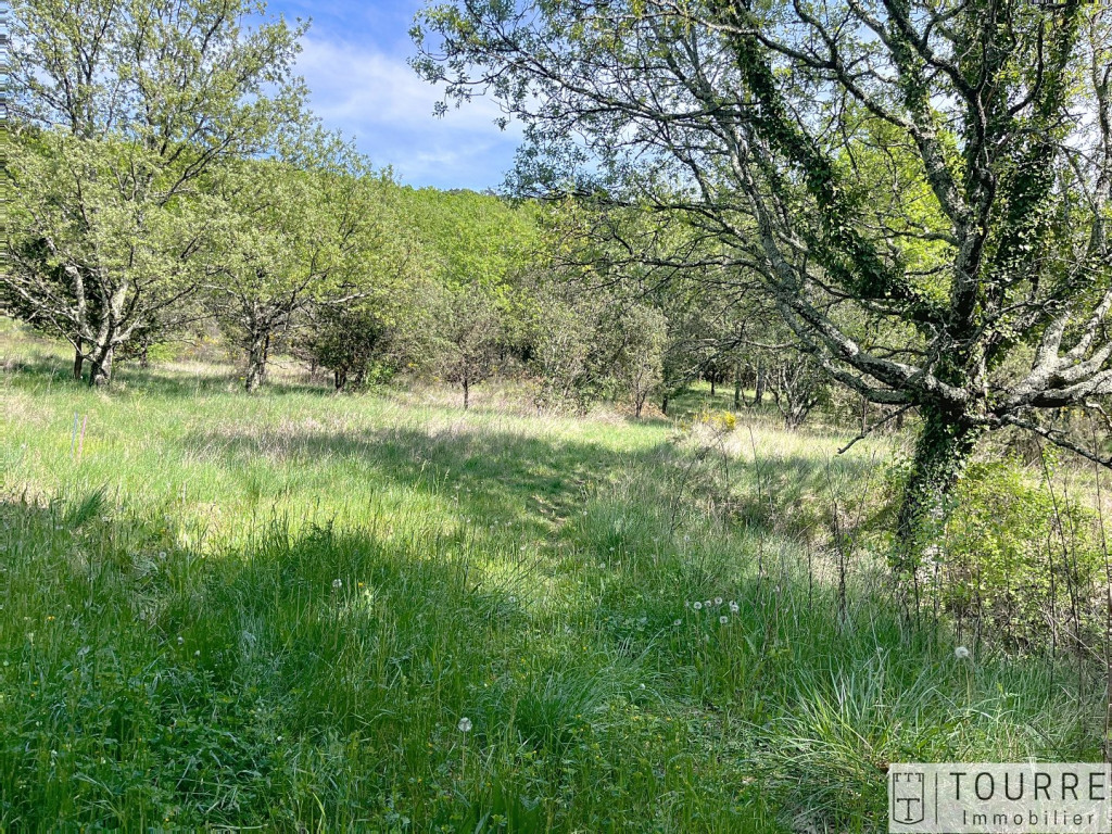 vente Terrain constructible Lagorce - Photo 2