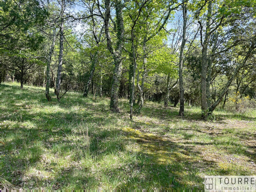 vente Terrain constructible Lagorce - Photo 4