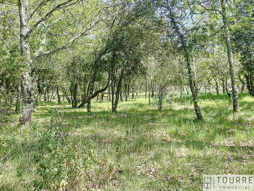 vente Terrain constructible Lagorce - Photo 1