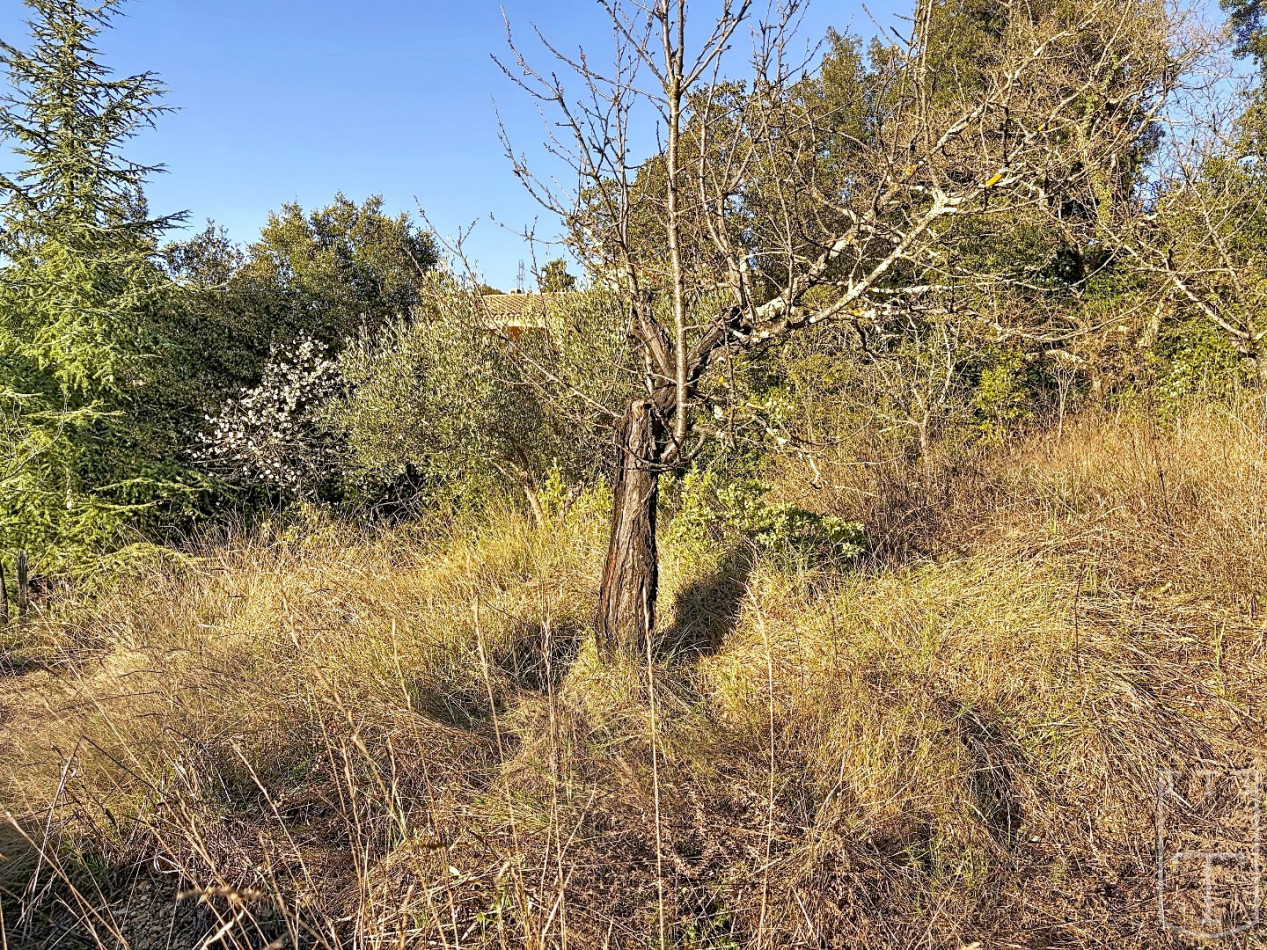 vente Villa Barjac - Photo 27