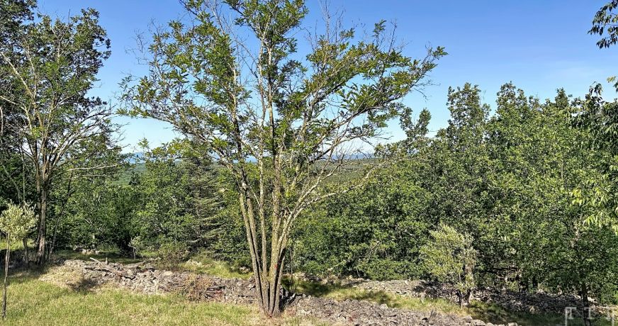 vente Propriété agricole Ruoms