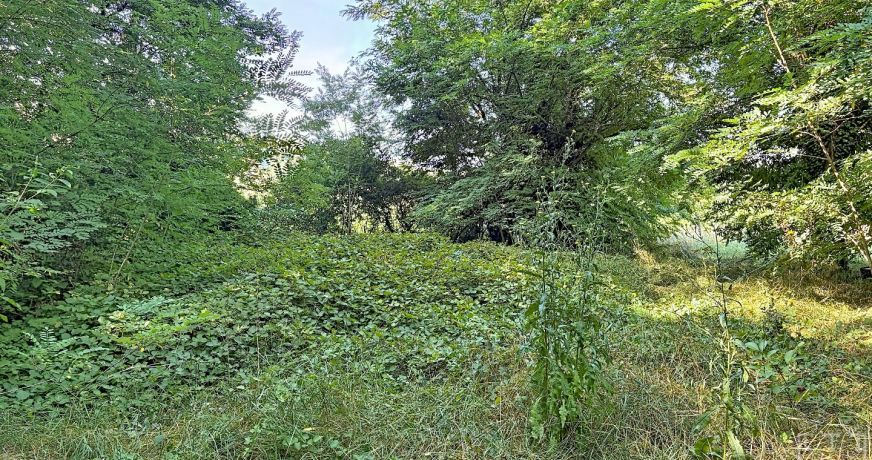 vente Maison à rénover Ruoms