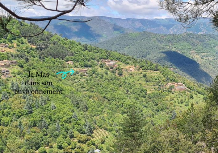 vente Mas Saint Andre Lachamp