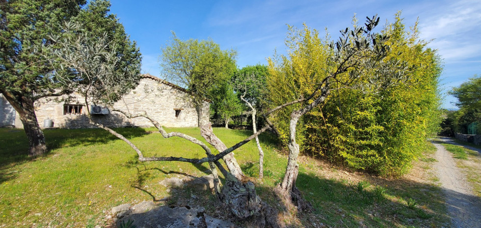 vente Domaine Joyeuse - Photo 1