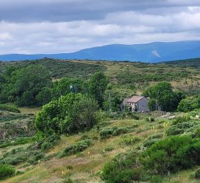 vente Montselgues
