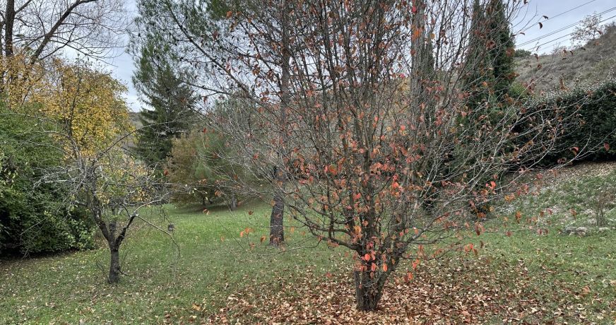 vente Maison en pierre Vinezac