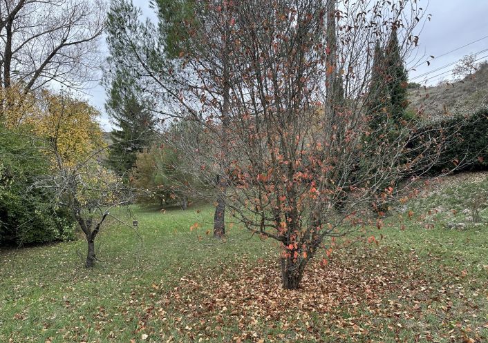 vente Maison en pierre Vinezac