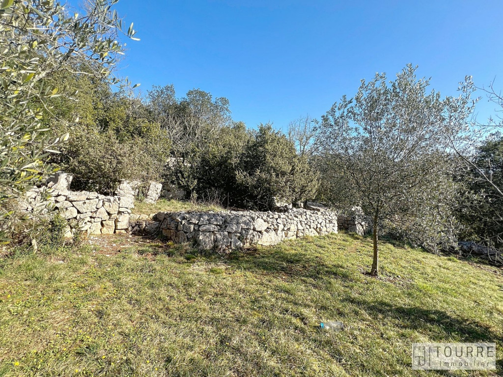 vente Terrain constructible Labeaume - Photo 8