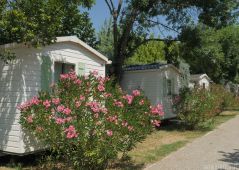 vente Camping Ruoms