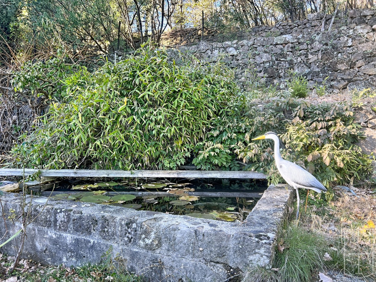 vente Maison de caractère Prades - Photo 24