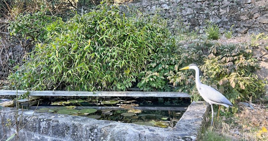vente Maison de caractère Prades