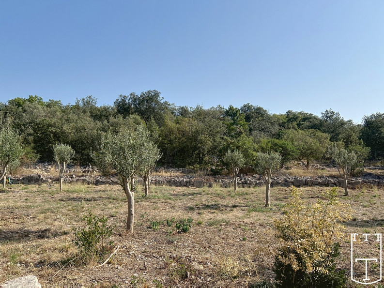 vente Terrain constructible Labeaume - Photo 5