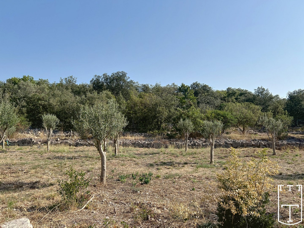 vente Terrain constructible Labeaume - Photo 5