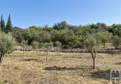 vente Terrain constructible Labeaume