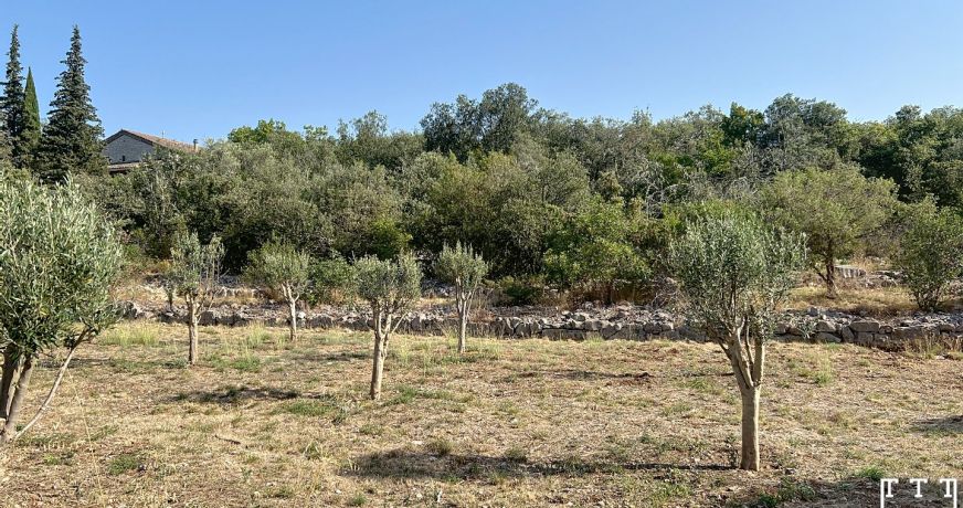 vente Terrain constructible Labeaume