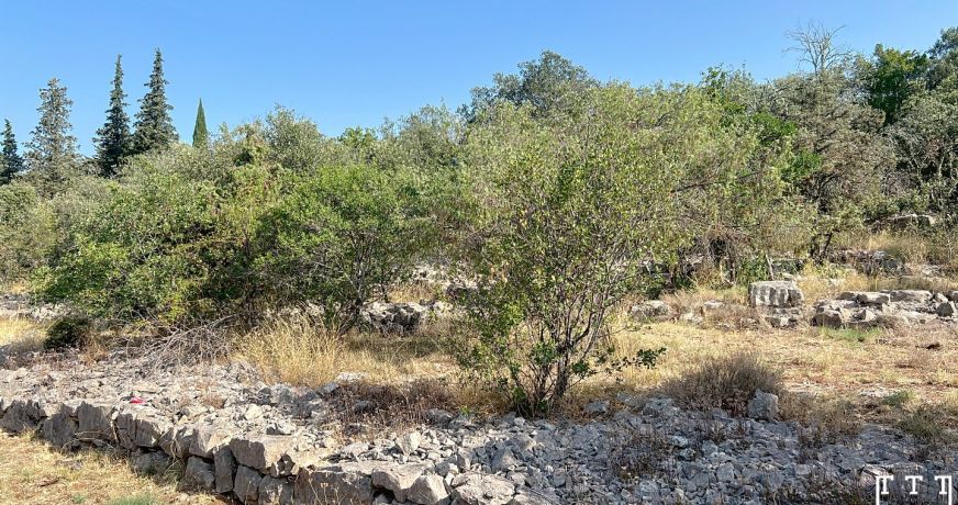 vente Terrain constructible Labeaume