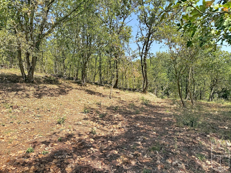 vente Terrain en lotissement Aubenas - Photo 10