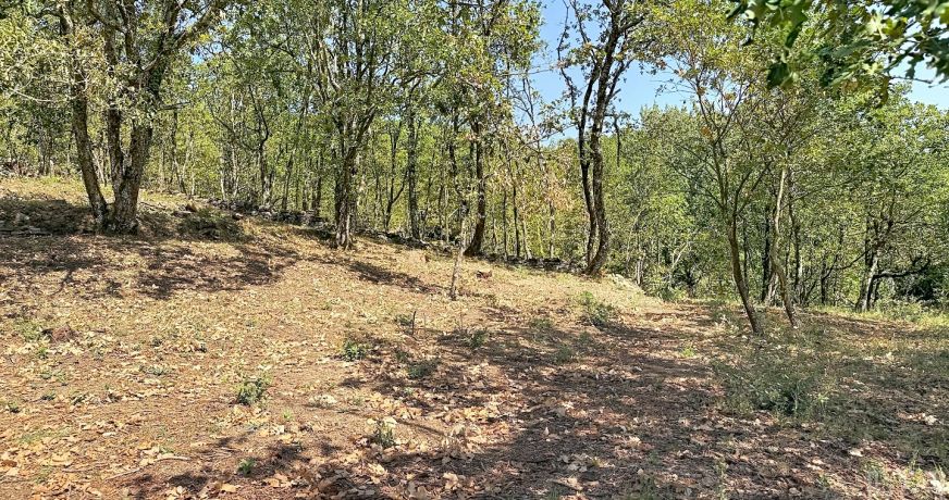 vente Terrain en lotissement Aubenas