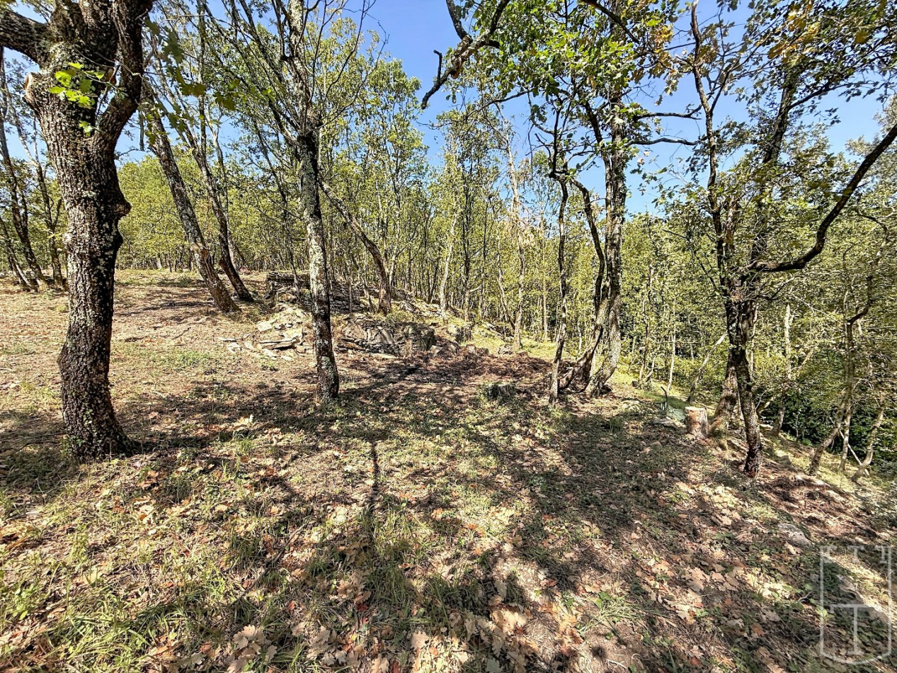 vente Terrain en lotissement Aubenas - Photo 14