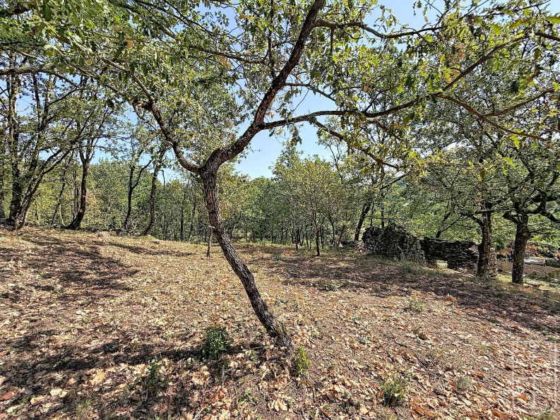 vente Terrain en lotissement Aubenas - Photo 7