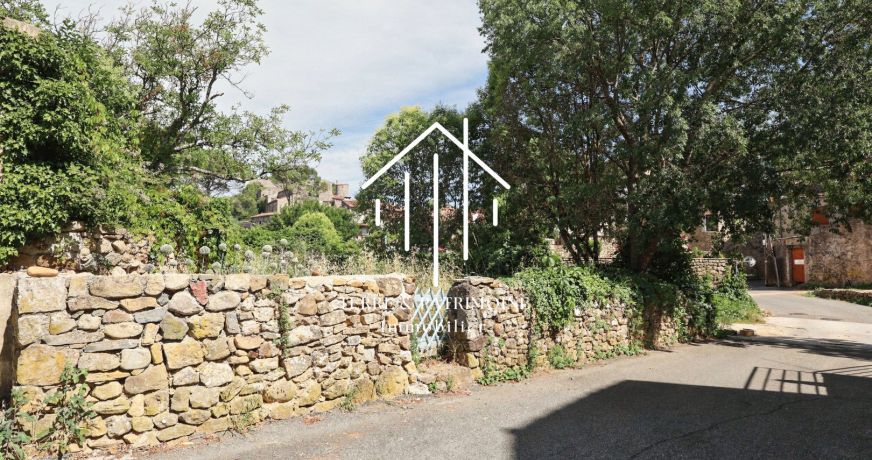 vente Maison en pierre Salavas