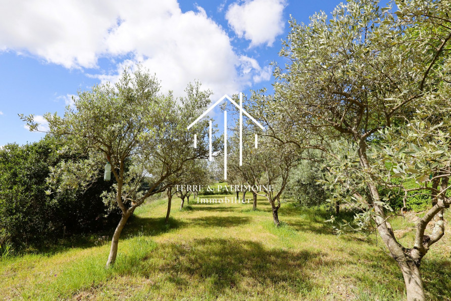 vente Maison individuelle Lagorce - Photo 5