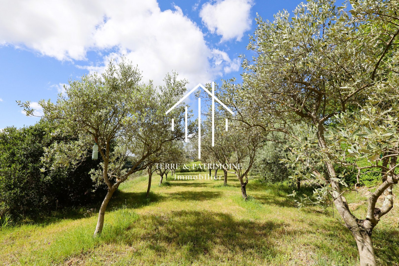 vente Maison individuelle Lagorce - Photo 5