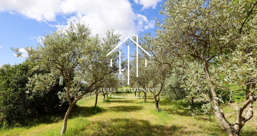 vente Maison individuelle Lagorce