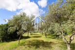 vente Maison individuelle Lagorce