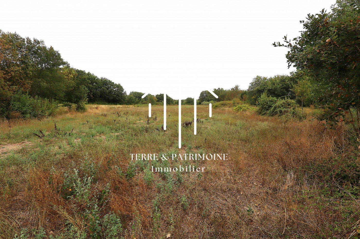 sale Maison Mejannes Les Ales - Photo 10