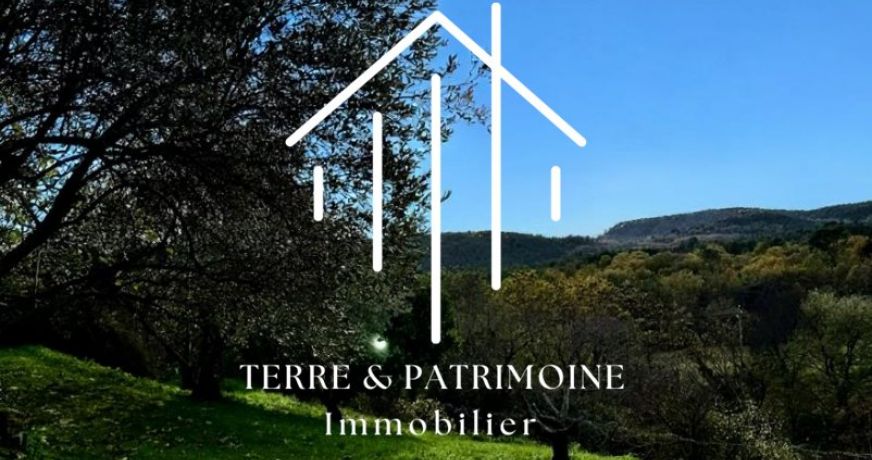 vente Maison de village Largentiere