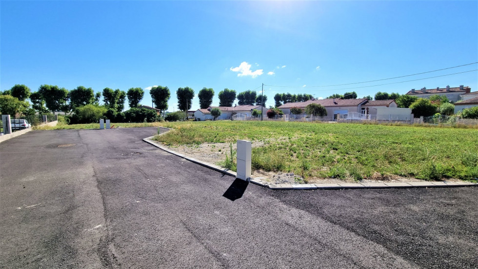 vente Terrain Saverdun - Photo 5