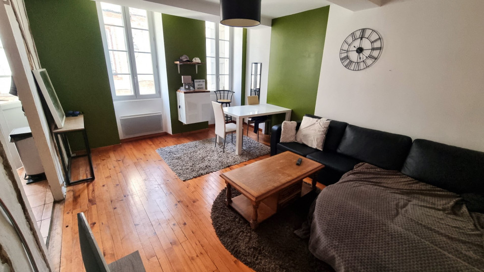 location Appartement rénové Mazeres - Photo 2