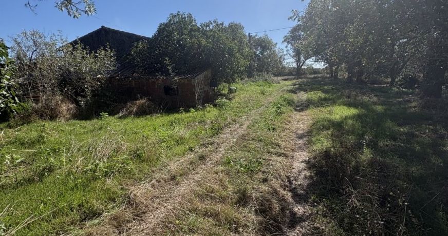 vente Maison Mazeres