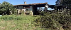 vente Maison Mazeres