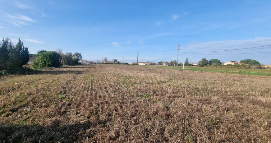 vente Terrain Mazeres