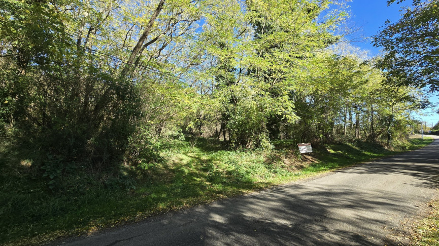 à vendre Terrain Calmont - Photo 4